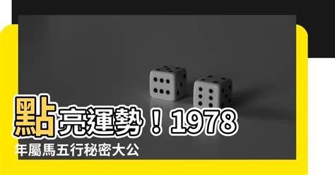 1978 馬 五行|五行揭秘：78年馬人財運